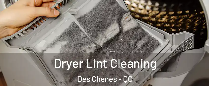  Dryer Lint Cleaning Des Chenes - QC