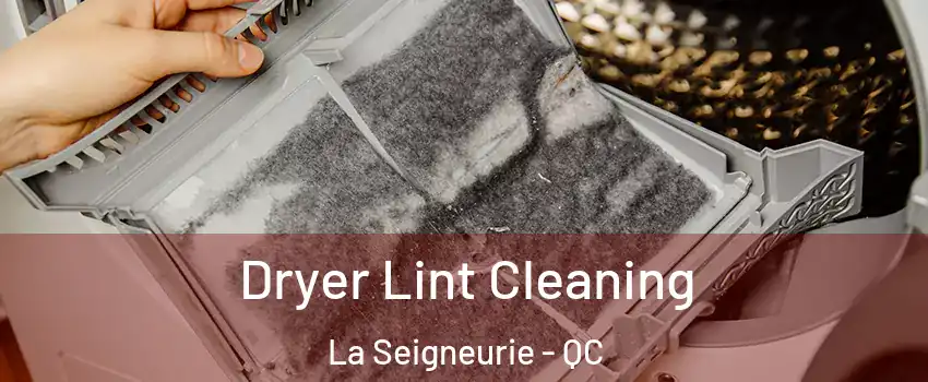  Dryer Lint Cleaning La Seigneurie - QC