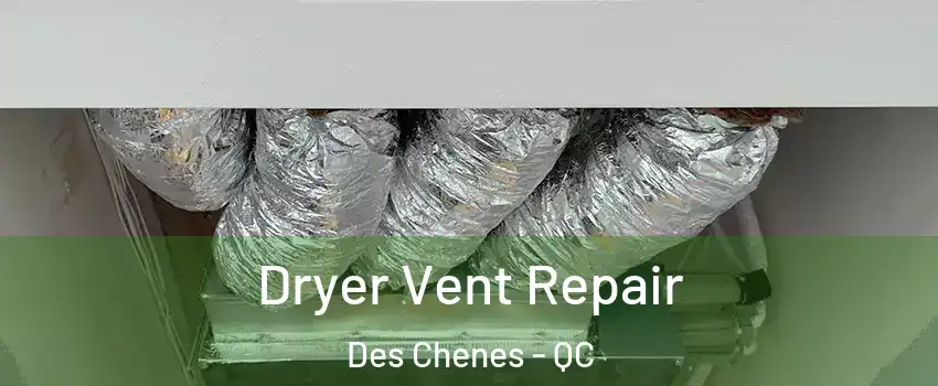 Dryer Vent Repair Des Chenes - QC