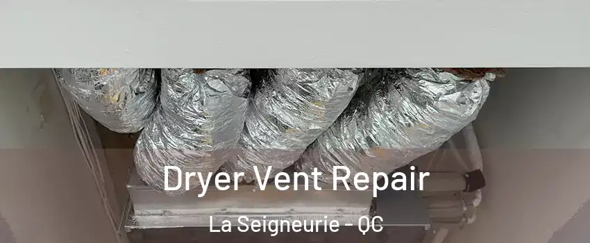  Dryer Vent Repair La Seigneurie - QC