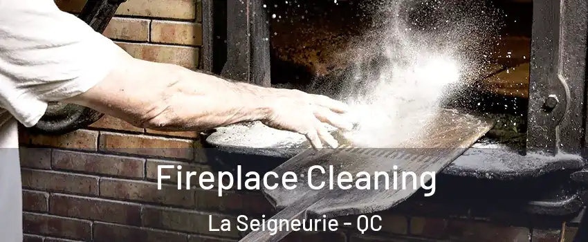  Fireplace Cleaning La Seigneurie - QC