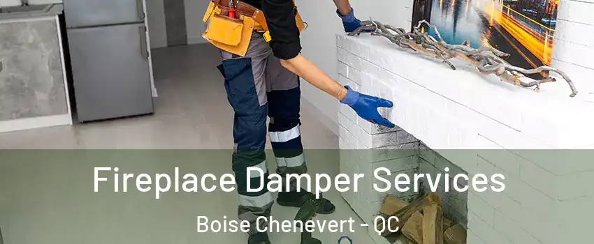 Fireplace Damper Services Boise Chenevert - QC
