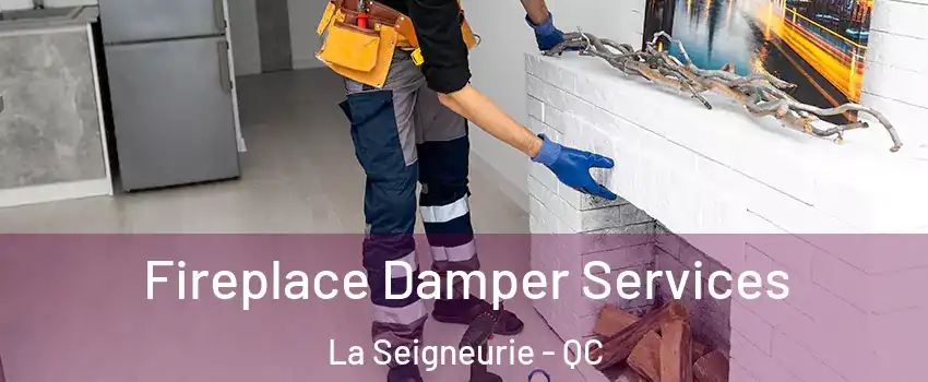  Fireplace Damper Services La Seigneurie - QC