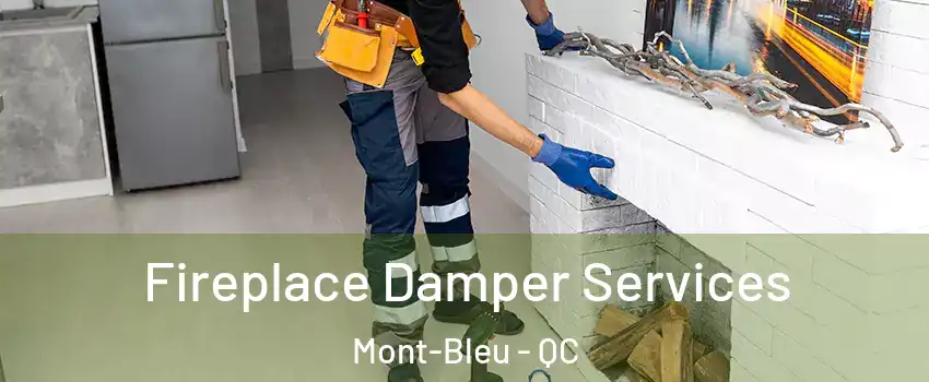  Fireplace Damper Services Mont-Bleu - QC
