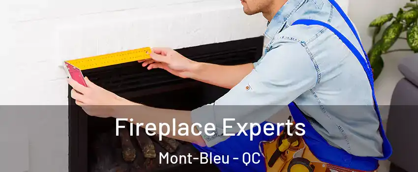  Fireplace Experts Mont-Bleu - QC