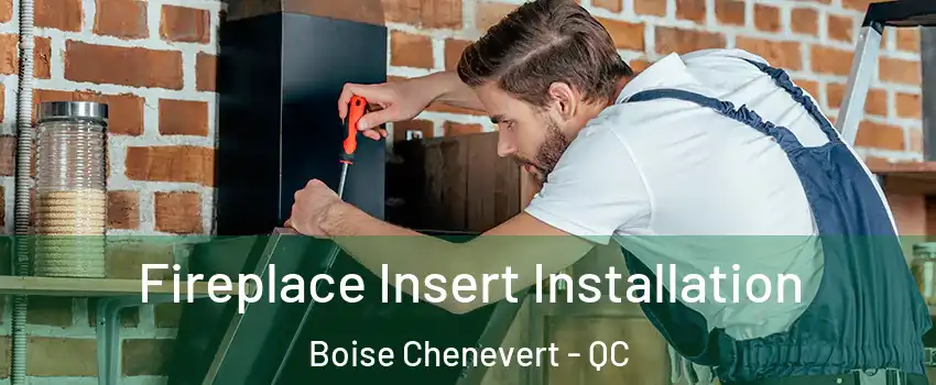  Fireplace Insert Installation Boise Chenevert - QC