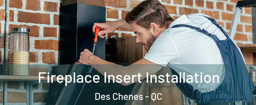  Fireplace Insert Installation Des Chenes - QC