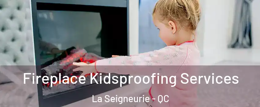  Fireplace Kidsproofing Services La Seigneurie - QC