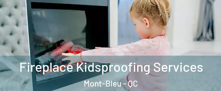  Fireplace Kidsproofing Services Mont-Bleu - QC