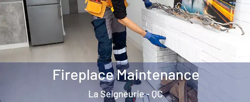  Fireplace Maintenance La Seigneurie - QC