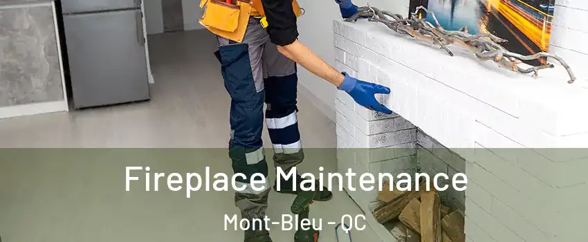  Fireplace Maintenance Mont-Bleu - QC