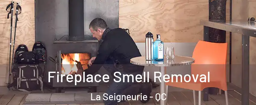  Fireplace Smell Removal La Seigneurie - QC