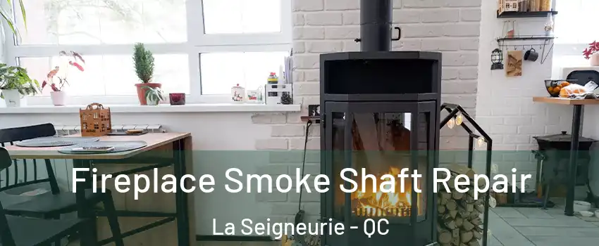  Fireplace Smoke Shaft Repair La Seigneurie - QC