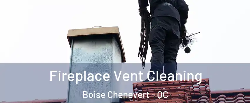  Fireplace Vent Cleaning Boise Chenevert - QC