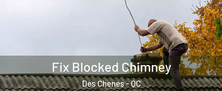  Fix Blocked Chimney Des Chenes - QC