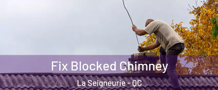  Fix Blocked Chimney La Seigneurie - QC