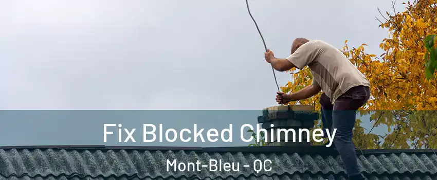  Fix Blocked Chimney Mont-Bleu - QC