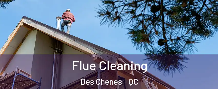  Flue Cleaning Des Chenes - QC
