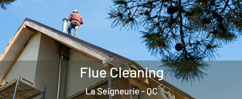  Flue Cleaning La Seigneurie - QC