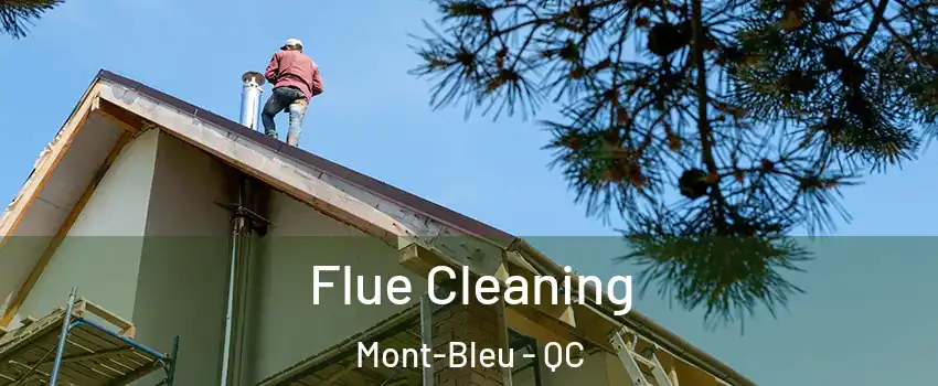  Flue Cleaning Mont-Bleu - QC