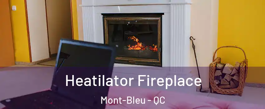  Heatilator Fireplace Mont-Bleu - QC
