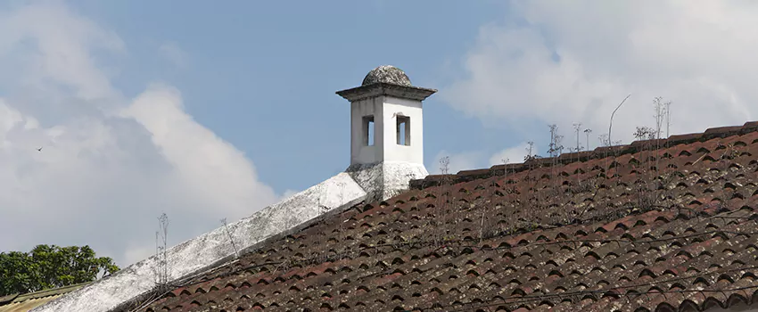 Wind-Resistant Chimney Caps Installation and Repair Services in Vieux-Saint-Eustache, Quebec