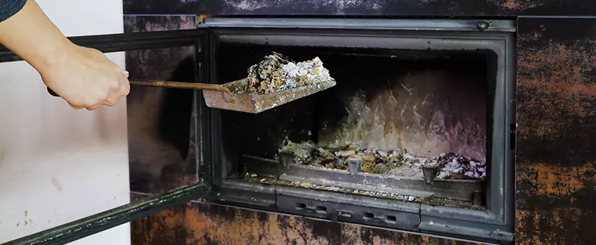 Wood Burning Chimney Odor Removal in Vieux-Saint-Eustache, Quebec