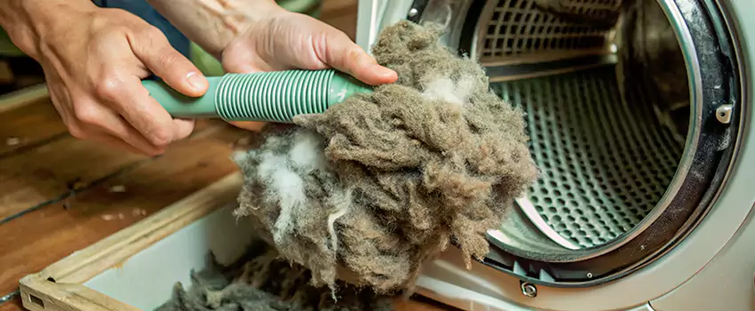 Best Dryer Lint Removal Company in Des Chenes, Quebec