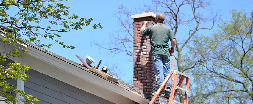 Chimney And Flue Brush Cleaning in Vieux-Saint-Eustache, Quebec
