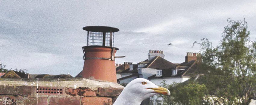 Chimney Cap Bird Guard Repair in Vieux-Saint-Eustache, Quebec