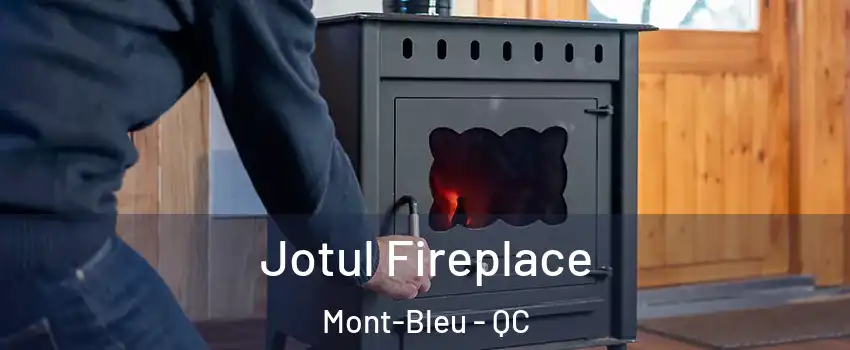  Jotul Fireplace Mont-Bleu - QC