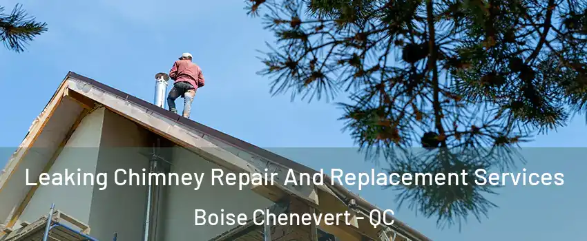  Leaking Chimney Repair And Replacement Services Boise Chenevert - QC