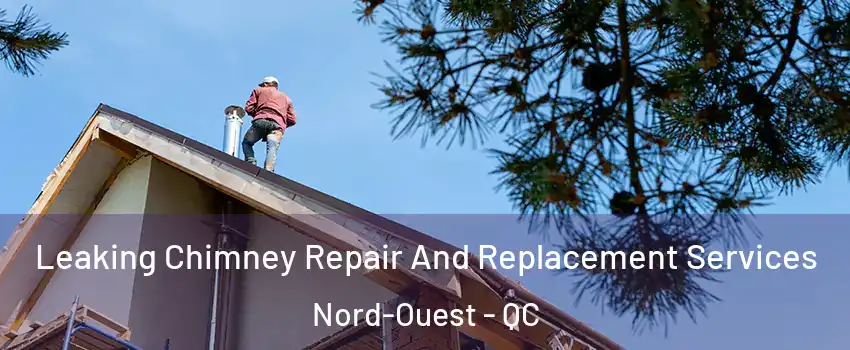  Leaking Chimney Repair And Replacement Services Nord-Ouest - QC
