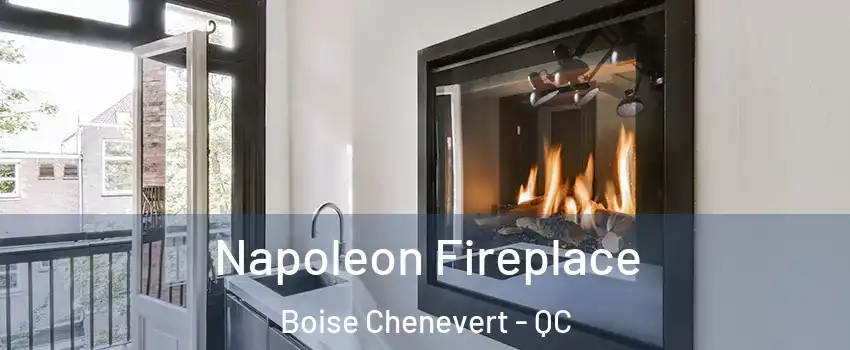  Napoleon Fireplace Boise Chenevert - QC