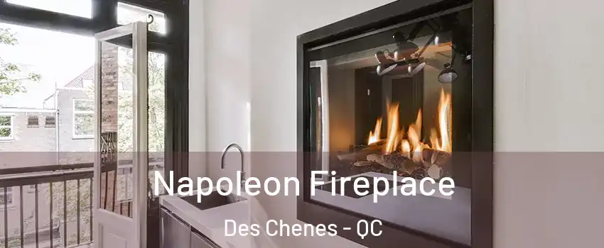  Napoleon Fireplace Des Chenes - QC
