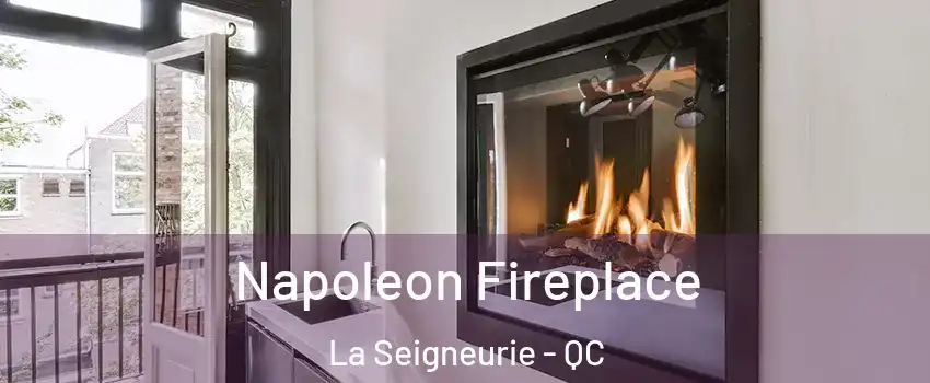  Napoleon Fireplace La Seigneurie - QC
