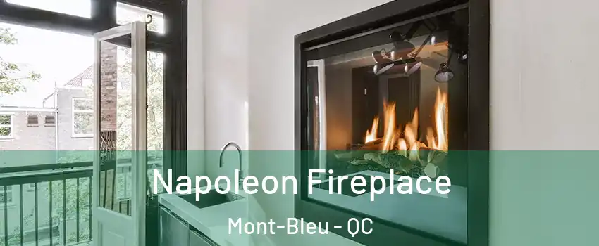  Napoleon Fireplace Mont-Bleu - QC