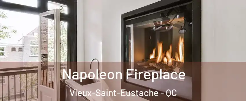  Napoleon Fireplace Vieux-Saint-Eustache - QC