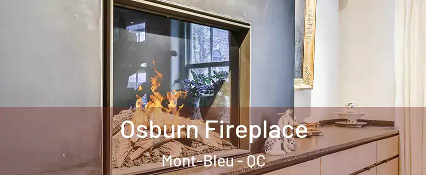  Osburn Fireplace Mont-Bleu - QC