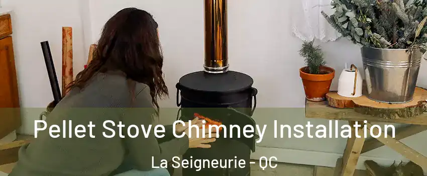  Pellet Stove Chimney Installation La Seigneurie - QC
