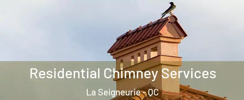  Residential Chimney Services La Seigneurie - QC