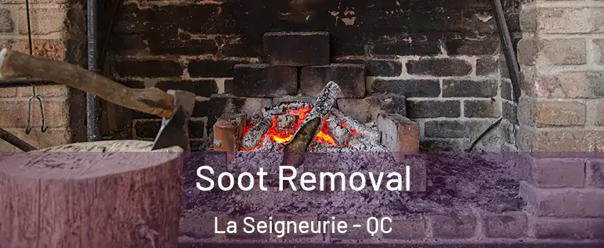  Soot Removal La Seigneurie - QC