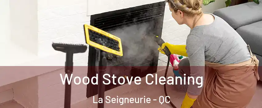  Wood Stove Cleaning La Seigneurie - QC