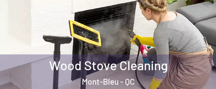  Wood Stove Cleaning Mont-Bleu - QC