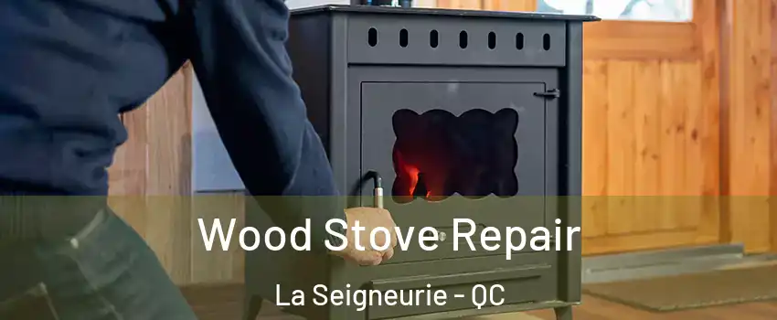  Wood Stove Repair La Seigneurie - QC
